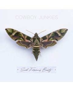 Cowboy Junkies - Such Ferocious Beauty CD