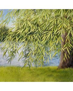 Martin Simpson & Thomm Jutz - Nothing But Green Willow CD