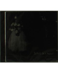 The Ex - Blueprints For A Blackout CD