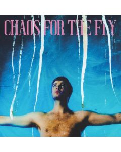 Grian Chatten - Chaos For The Fly CD