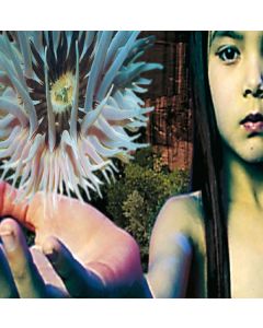 The Future Sound Of London - Lifeforms CD
