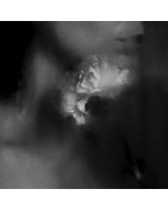 Holding Absence - Holding Absence CD