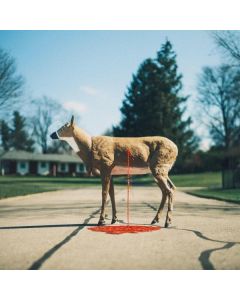 Wayne Graham - Bastion CD