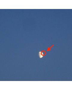 Cleopatrick - Fake Moon CD