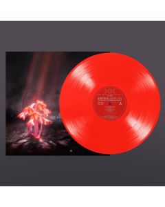 Enter Shikari - A Kiss For The Whole World (Sunset Vinyl Edition) (Dark Orange Vinyl) LP