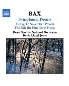 Arnold Bax (1883-1953) - Orchesterwerke CD