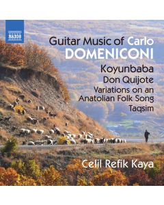 Carlo Domeniconi - Gitarrenwerke CD