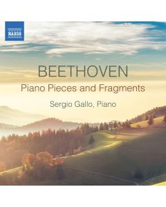 Ludwig van Beethoven (1770-1827) - Klavierstücke & Fragmente (Skizzen,Miniaturen,Kadenzen,Transkriptionen,Arrangements) CD