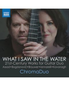 ChromaDuo - What I Saw In The Water CD
