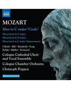 Wolfgang Amadeus Mozart (1756-1791) - Sämtliche Messen Vol.6 CD