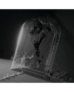 Visible Cloaks - Paradessence LP