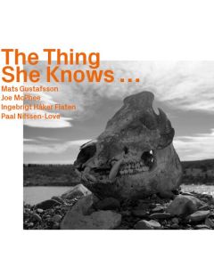 Mats Gustafsson, Joe McPhee & Ingebrigt Håker Flaten - The Thing She Knows... CD