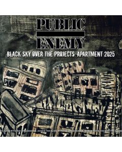 Public Enemy - Black Sky Over The Projects: Apartment 2025 CD