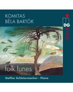 Steffen Schleiermacher - Komitas / Bela Bartok CD
