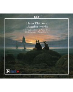 Hans Pfitzner (1869-1949) - Kammermusik CD