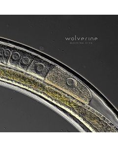 Wolverine - Machina Viva CD