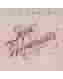 Jesse Winchester - Talk Memphis CD