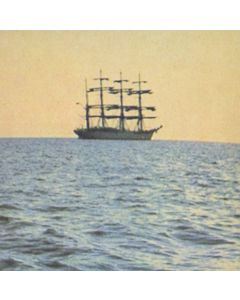 (Smog) (Bill Callahan) - The Doctor Came At Dawn LP