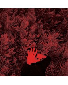 Cory Hanson - The Unborn Capitalist From Limbo LP