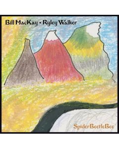 Bill MacKay & Ryley Walker - SpiderBeetleBee CD