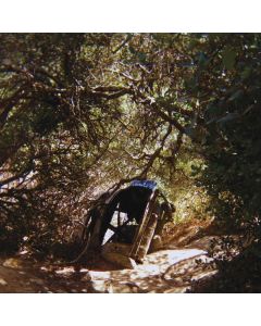 Ty Segall - Possession LP