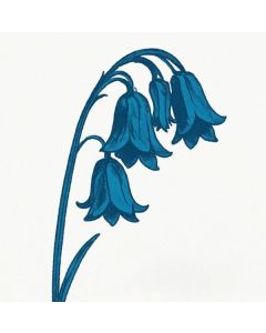 The Bluebells - This Is... The Bluebells (Blue Vinyl) LP