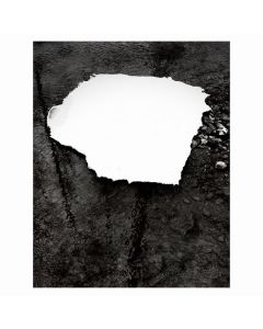 Zelienople - Everything Is Simple LP