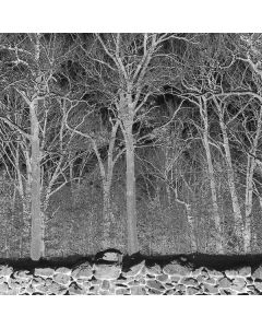 Pile - Sunshine And Balance Beams CD