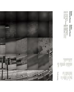 Radian - Distorted Rooms LP