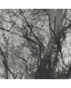 Grouper - Way Their Crept LP