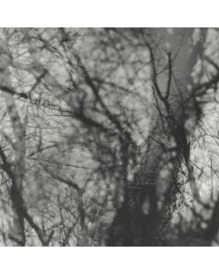 Grouper - Way Their Crept CD