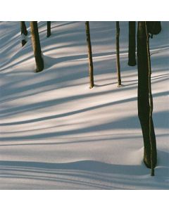 Isabel Pine - Fables CD