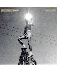 Mount Kimbie - Love What Survives LP