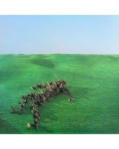 Squid - Bright Green Field CD