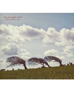 The Pineapple Thief - What We Have Sown CD