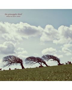 The Pineapple Thief - What We Have Sown (remastered) LP