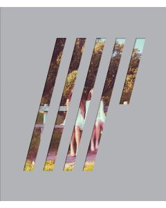 Steven Wilson - 4 1/2 BRA