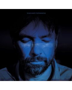 Bruce Soord (The Pineapple Thief) - Luminescence CD