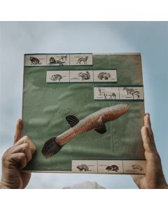 Cotton Jones - The River Strumming (15th Anniversary) (180g) LP