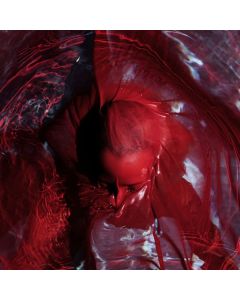 Blackwater Holylight - Not Here Not Gone CD