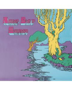 Skinshape - Another Side Of Skinshape CD