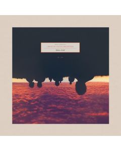 Choir Of Young Believers - Rhine Gold LP