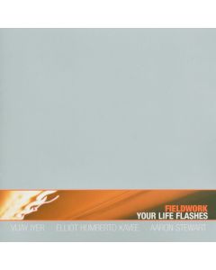 Fieldwork - Your Life Flashes CD