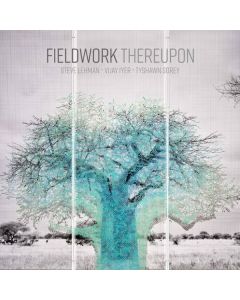 Fieldwork - Thereupon CD