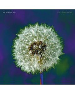 The Bevis Frond - Focus On Nature CD
