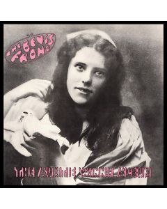 The Bevis Frond - The Auntie Winnie Album CD