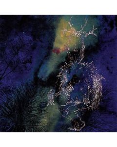 Bardo Pond - Under The Pines CD