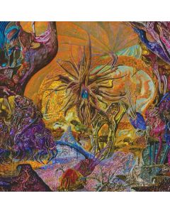 Slimelord - Chytridiomycosis Relinquished (Orange/Blue Galaxy Vinyl) LP