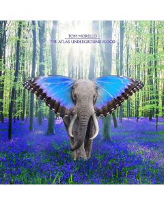 Tom Morello (Nightwatchman) - The Atlas Underground Flood CD