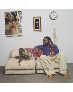 Aminé - 13 Months Of Sunshine (Purple Vinyl) LP